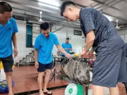 Chủ khách sạn ở Cô Tô mổ lợn rừng đãi gần 50 du khách mắc kẹt vì bão