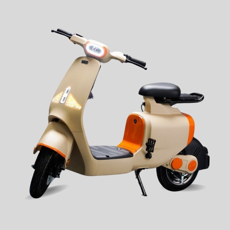 DK Bike S1. Ảnh: DK Bike