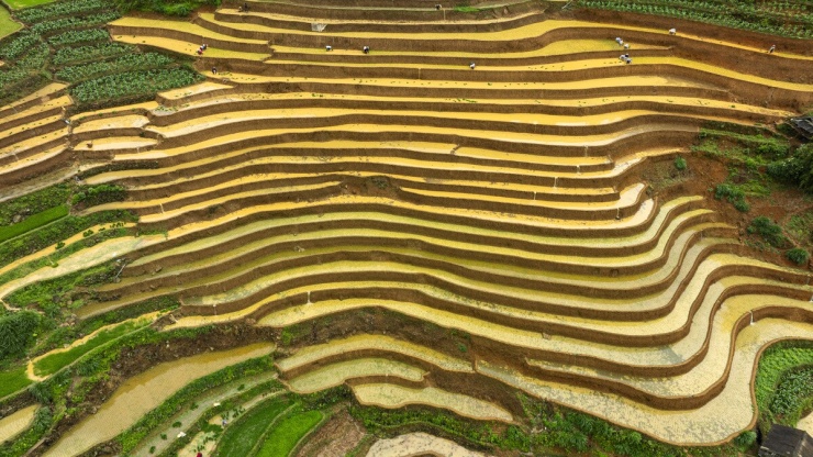 Ruộng bậc thang Mù Cang Chải mùa nước đổ như 'tấm gương khổng lồ' - 5