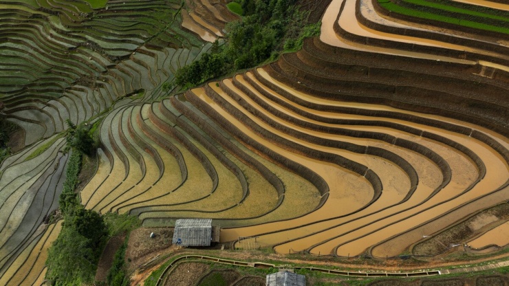 Ruộng bậc thang Mù Cang Chải mùa nước đổ như 'tấm gương khổng lồ' - 4