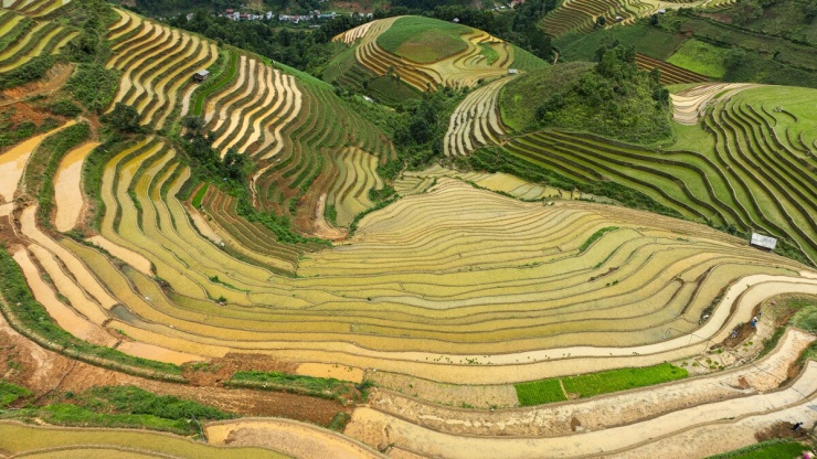 Ruộng bậc thang Mù Cang Chải mùa nước đổ như 'tấm gương khổng lồ' - 10