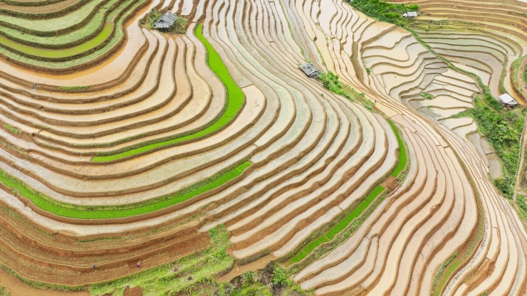 Ruộng bậc thang Mù Cang Chải mùa nước đổ như 'tấm gương khổng lồ' - 8