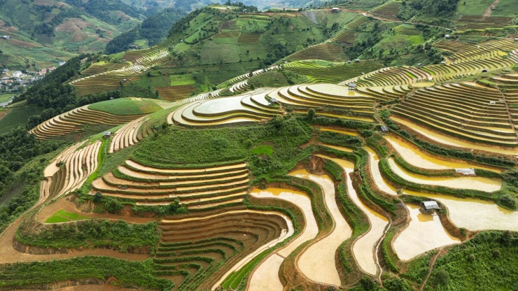 Ruộng bậc thang Mù Cang Chải mùa nước đổ như 'tấm gương khổng lồ' - 9