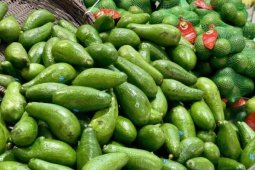 Tiểu thương bật mí cách chọn bơ chín đều, dẻo mịn, không sợ đắng