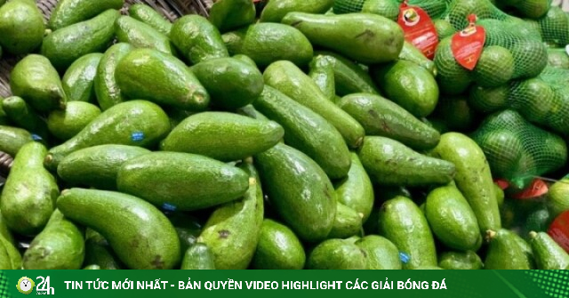 Tiểu thương bật mí cách chọn bơ chín đều, dẻo mịn, không sợ đắng