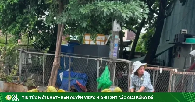 Giá sầu riêng lại lao dốc