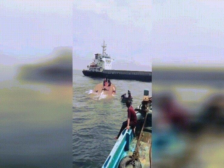 Tàu hàng tông chìm tàu cá trên vùng biển Lâm Đồng, 1 người tử vong