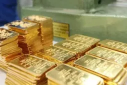 Giá vàng đứng im, cả tuần người mua 'bỏ túi' bao nhiêu?