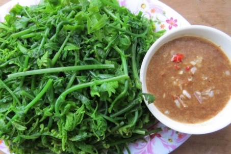 Loại rau dại trước bỏ đi nay là đặc sản giá 200.000 đồng/kg được người Trung Quốc xem là 'rau trường thọ', sang tận nơi để thu mua