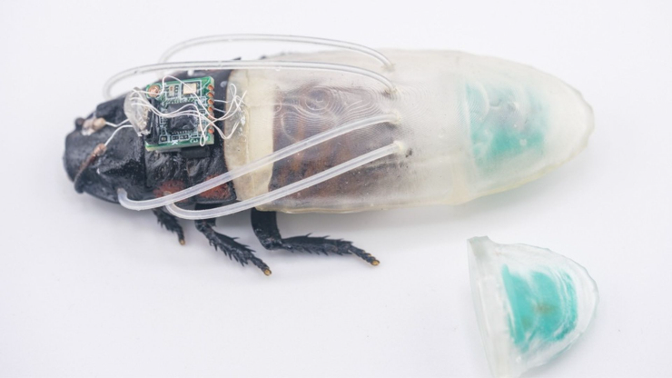 Bộ đồ in 3D dành cho một chú gián cyborg.