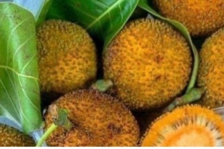 Quả dại mọc đầy bờ rào thành đặc sản, luôn cháy hàng