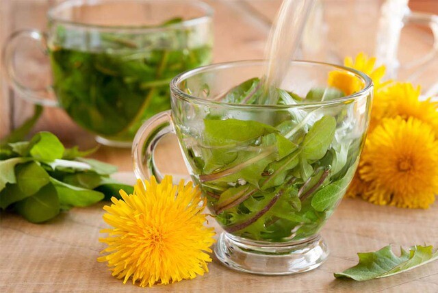 Loại rau dại mọc khắp Việt Nam được nghiên cứu có khả năng khiến hơn 95% tế bào ung thư tự hủy trong phòng thí nghiệm - 2