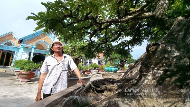 nghệ nhân Bùi Quốc Nam bên cây me bonsai. Ảnh: T.Đ