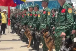 Quân khuyển Việt Nam và cuộc tìm kiếm đặc biệt ở Venezuela