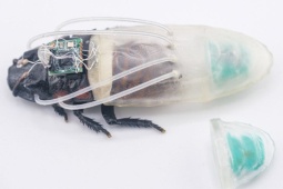 Phát minh gián robot kỳ lạ: Mặc đồ lặn in 3D, "nín thở" dưới nước suốt 3 tiếng