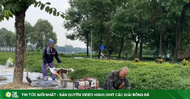 Hà Nội: Vì sao vỉa hè vừa làm xong lại đào lên lắp cống?