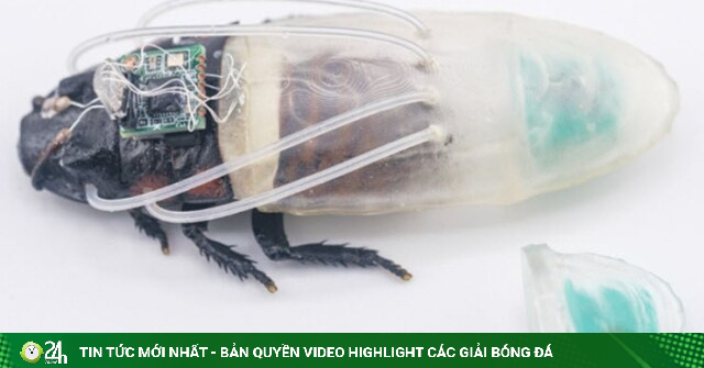 Phát minh gián robot kỳ lạ: Mặc đồ lặn in 3D, "nín thở" dưới nước suốt 3 tiếng
