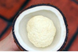 Đặc sản “bí mật” bên trong trái dừa có giá đắt đỏ