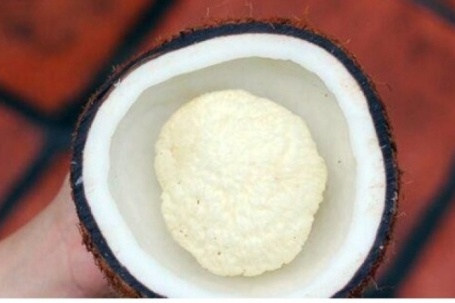 Đặc sản “bí mật” bên trong trái dừa có giá đắt đỏ