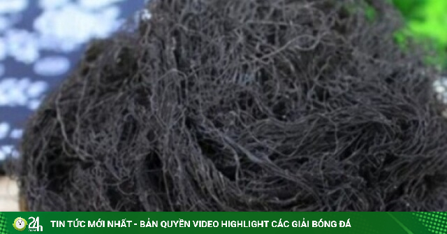 Vị thuốc quý ai nhìn vào cũng sợ, ăn vào lại bổ dưỡng chẳng kém nhân sâm, tổ yến