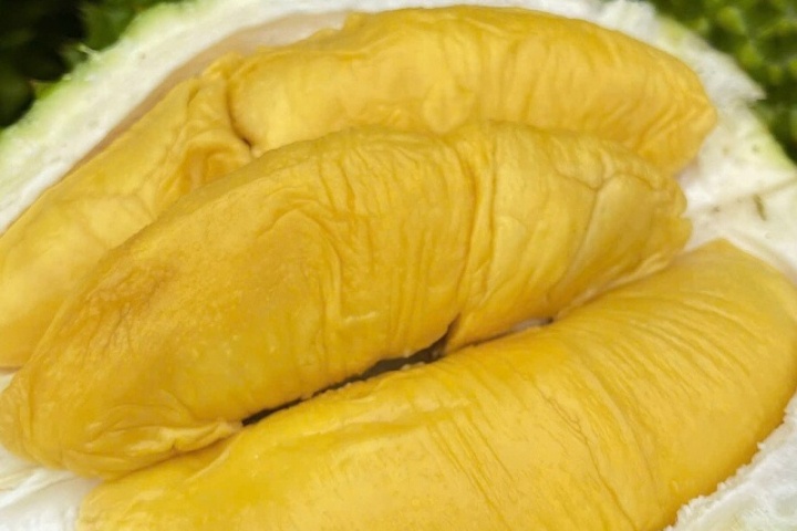 Sầu riêng Musang King rẻ chưa từng có