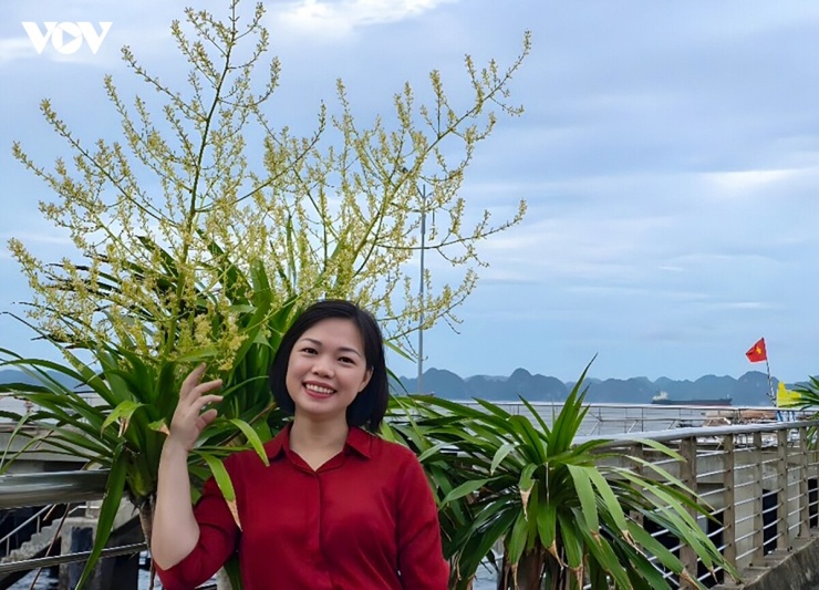 Chị Đào Thị Thuý - hướng dẫn viên Ban Quản lý Di sản thế giới vịnh Hạ Long – Yên Tử cho biết, dù đã gắn bó với vịnh hơn 20 năm, mùa hoa phất dụ năm nay vẫn khiến chị bất ngờ.