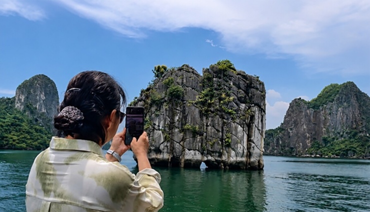 Sắc hoa dày đặc đến mức gần như ở bất cứ tuyến tham quan nào, du khách cũng có thể thấy những triền núi bừng sáng bởi hàng nghìn chùm hoa, tạo nên một “tấm áo mới” vừa dịu dàng vừa rực rỡ cho vịnh Hạ Long (Ảnh: CTV)