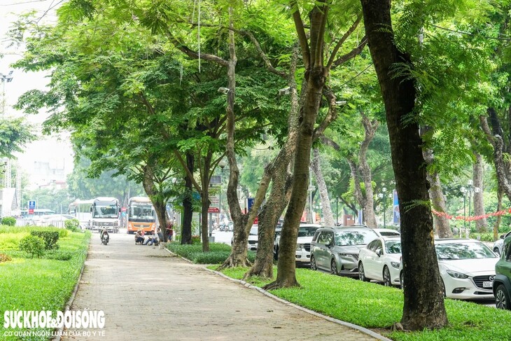 Cận cảnh khu vực sắp xây quảng trường cạnh Công viên Thống Nhất - 11
