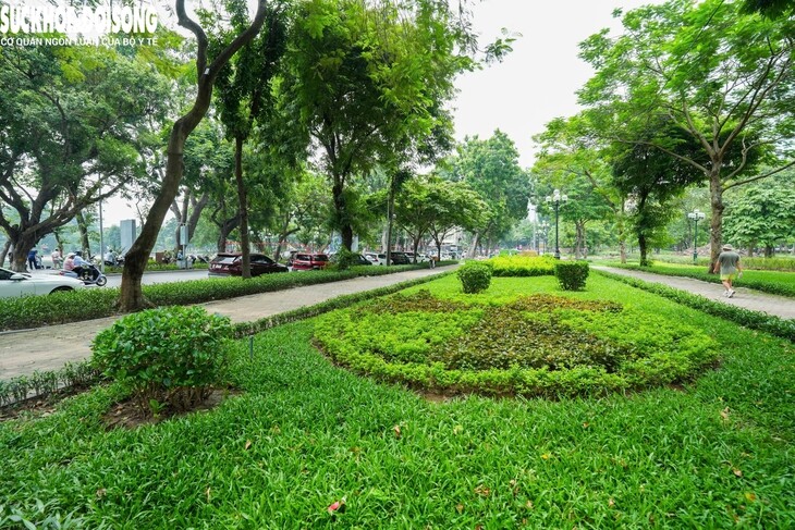 Cận cảnh khu vực sắp xây quảng trường cạnh Công viên Thống Nhất - 13