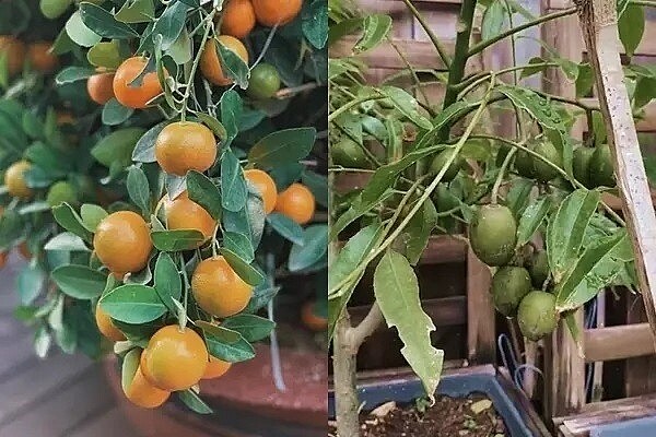 Cuộc sống viên mãn của Tăng Thanh Hà sau 13 năm vắng bóng màn ảnh để tập trung làm 'dâu hào môn' - 17