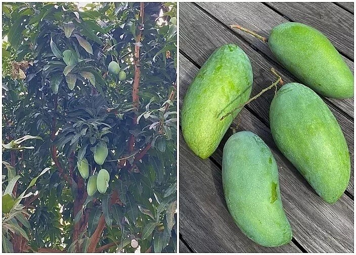Cuộc sống viên mãn của Tăng Thanh Hà sau 13 năm vắng bóng màn ảnh để tập trung làm 'dâu hào môn' - 16