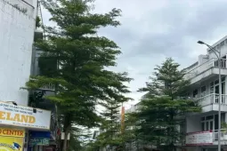 Chưa được giao đất, một doanh nghiệp đã xây hàng chục căn nhà rồi... bán