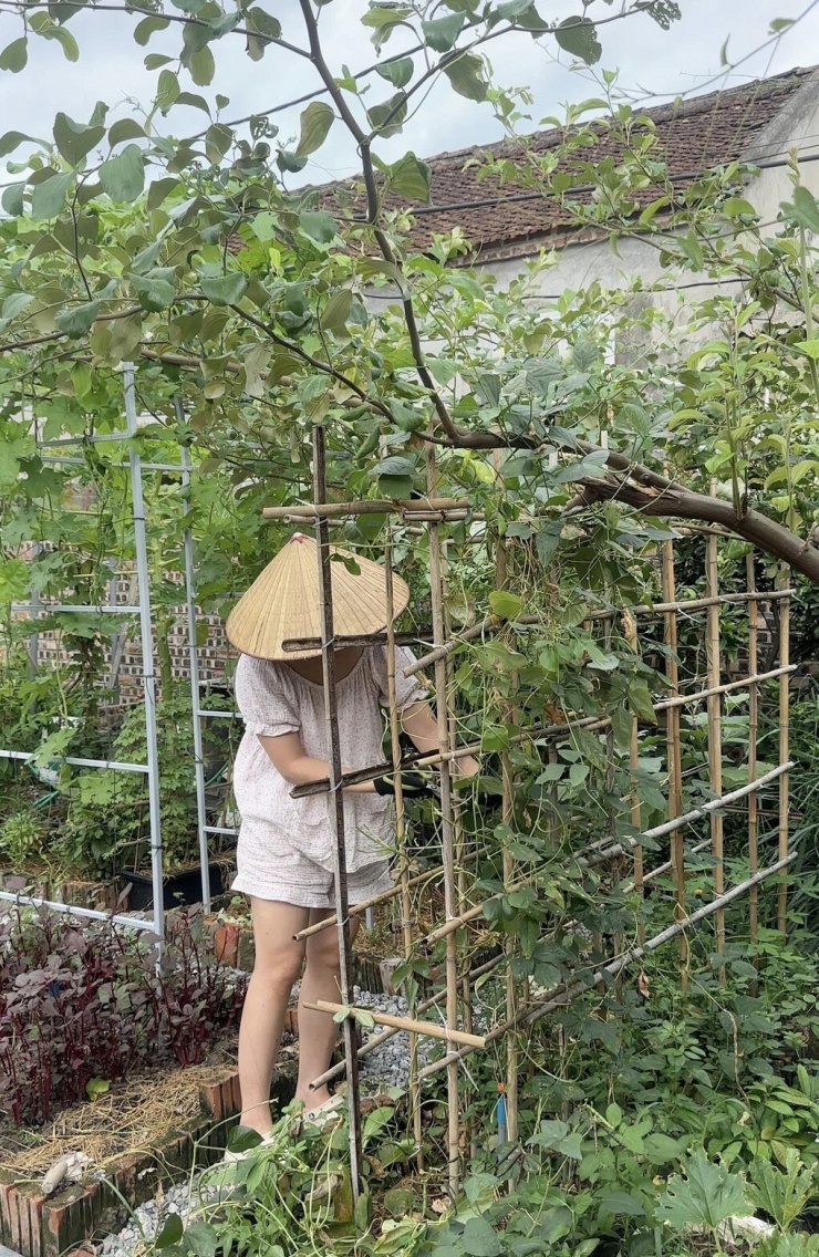 Cô tự tay cải tạo khu vườn. Ảnh: NVCC
