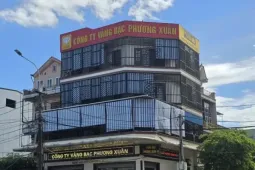 Khởi tố Chủ tịch HĐQT và Phó Giám đốc Công ty CP vàng bạc Phương Xuân