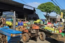 Lý do người dân Đắk Lắk rồng rắn chở cà phê đi bán