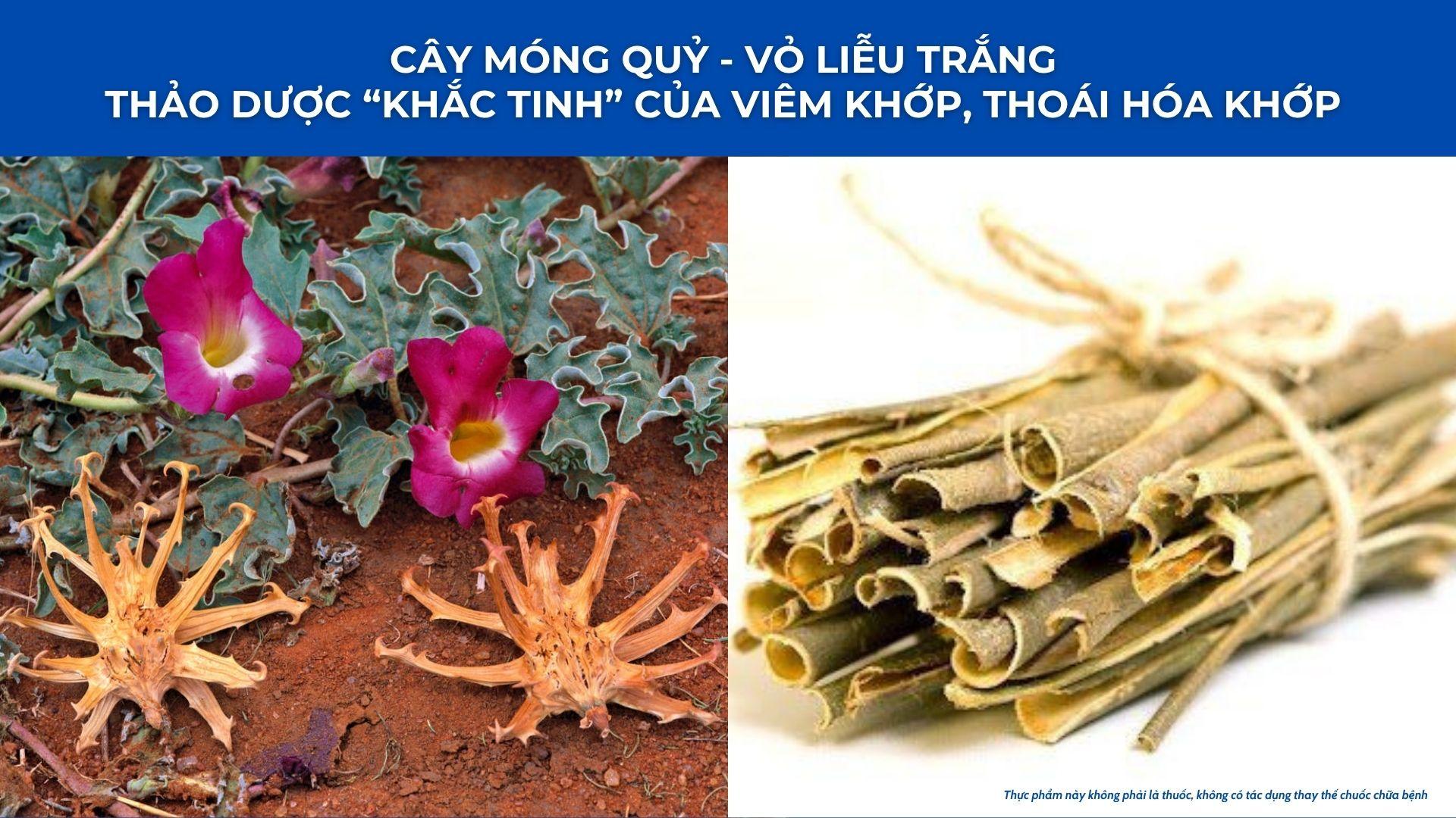 Món ăn “tối kị" với xương khớp đang "ẩn nấp" trên mâm cơm người Việt - 3
