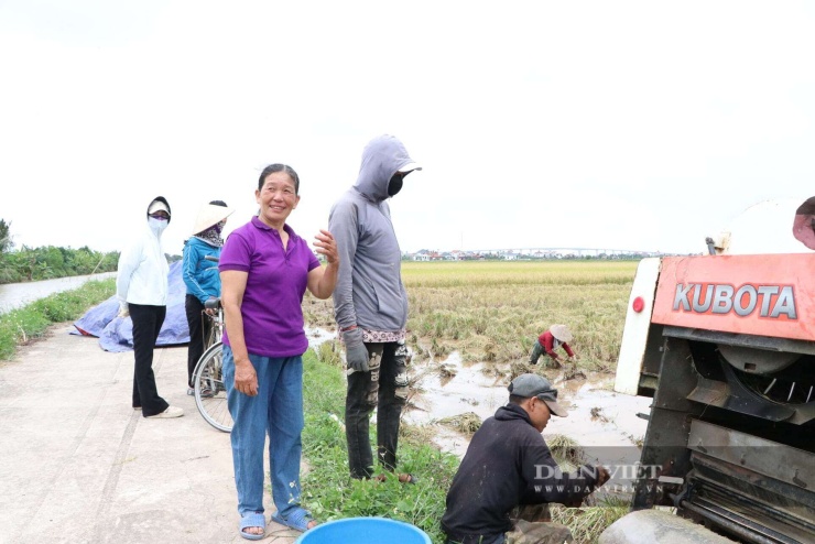 Chị Thương (áo tím) trên cánh đồng lúa đang thu hoạch của gia đình. Ảnh: Minh Ngọc