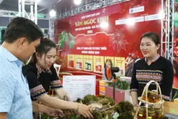 Du khách chen chân đi chợ sâm tiền tỷ bên Cầu Rồng