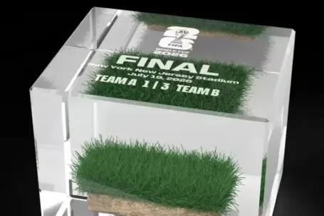 Mảnh cỏ sân chung kết World Cup giá 450 USD 'cháy hàng'