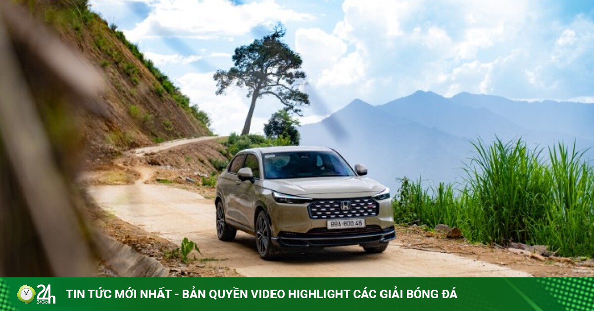 Bỏ xe xăng mua SUV Hybrid: Xu hướng nhất thời hay tiết kiệm thật?