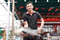9X Cần Thơ kiếm tiền tỷ nhờ nuôi cá xanh kỳ, làm du lịch trên bè giữa sông Hậu
