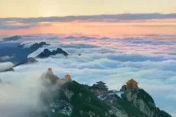 Tuyển người ngắm mây lương 200 triệu đồng/tháng, bao ăn ở
