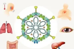 Adenovirus tăng gấp 3 lần, cảnh báo nguy cơ lây nhiễm từ bể bơi công cộng