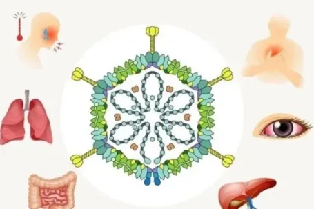 Adenovirus tăng gấp 3 lần, cảnh báo nguy cơ lây nhiễm từ bể bơi công cộng