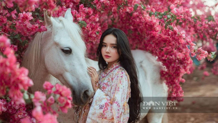 Nhắc con giáp tuổi Ngọ: Vận đang lên nhưng nền chưa chắc, đừng vội.