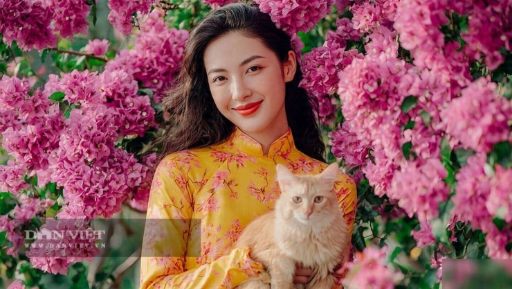 Nhắc con giáp tuổi Mão: Thiên thời địa lợi, làm gì cũng thuận.