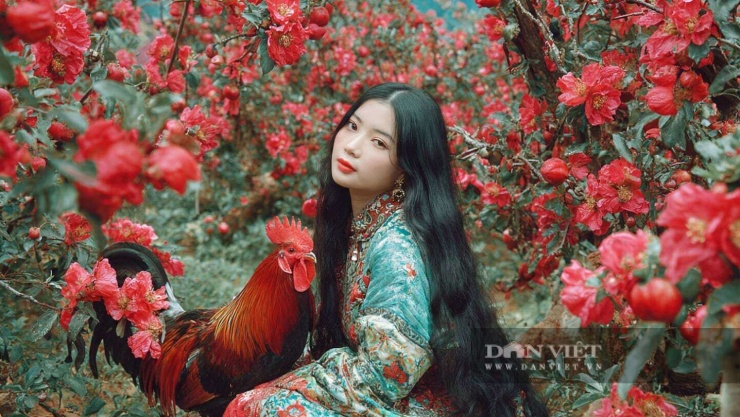 Nhắc con giáp tuổi Dậu: Có lộc, mọi sự nhìn chung yên ổn.
