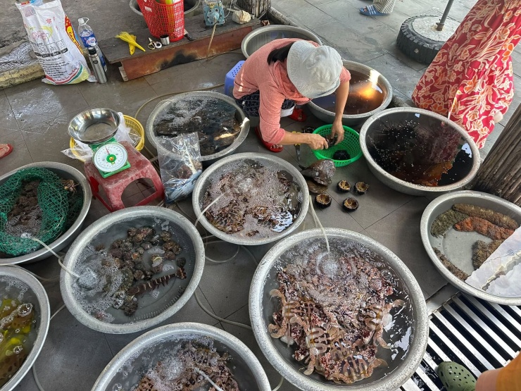 Du khách tự tay chọn hải sản. Ảnh: NVCC