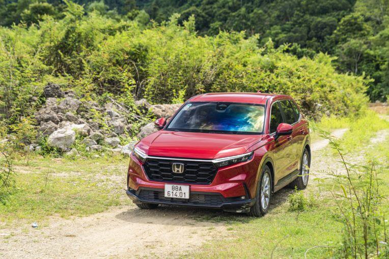 Các mẫu xe SUV đang là dòng xe "hot" trên thị trường.