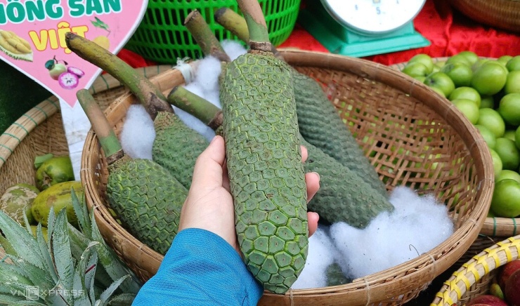 Trầu bà được nhiều cửa hàng ở TP HCM bán với giá 250.000-380.000 đồng một trái (tùy trọng lượng). Ảnh: Thi Hà